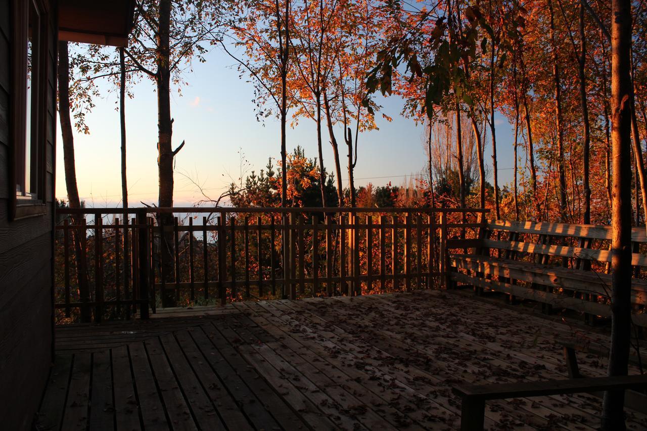 Cabanas Mas Ke Miel Población Población Lago Ranco Exteriör bild